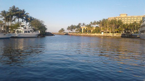 Dolphin Discovery Vallarta